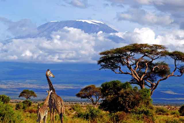 kilimanjaro-tai-tanzania.jpg